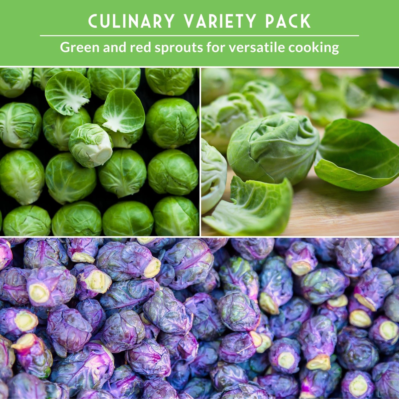 Brussels Sprouts Seeds Variety Pack – Heirloom Cool Season Vegetable Seeds