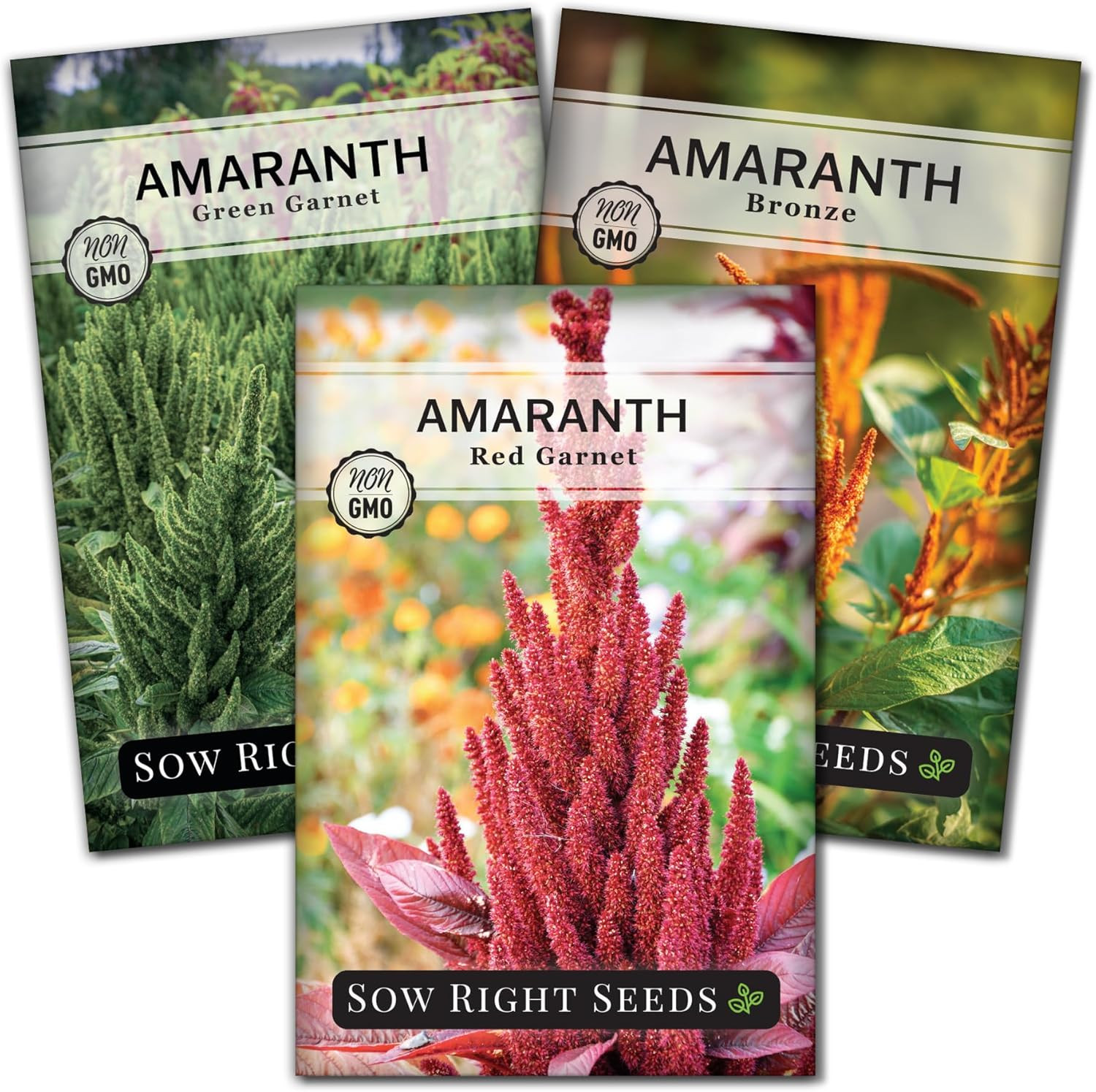 – Collection of Amaranth Seeds for Planting – Non-Gmo Heirloom Packets with Inst