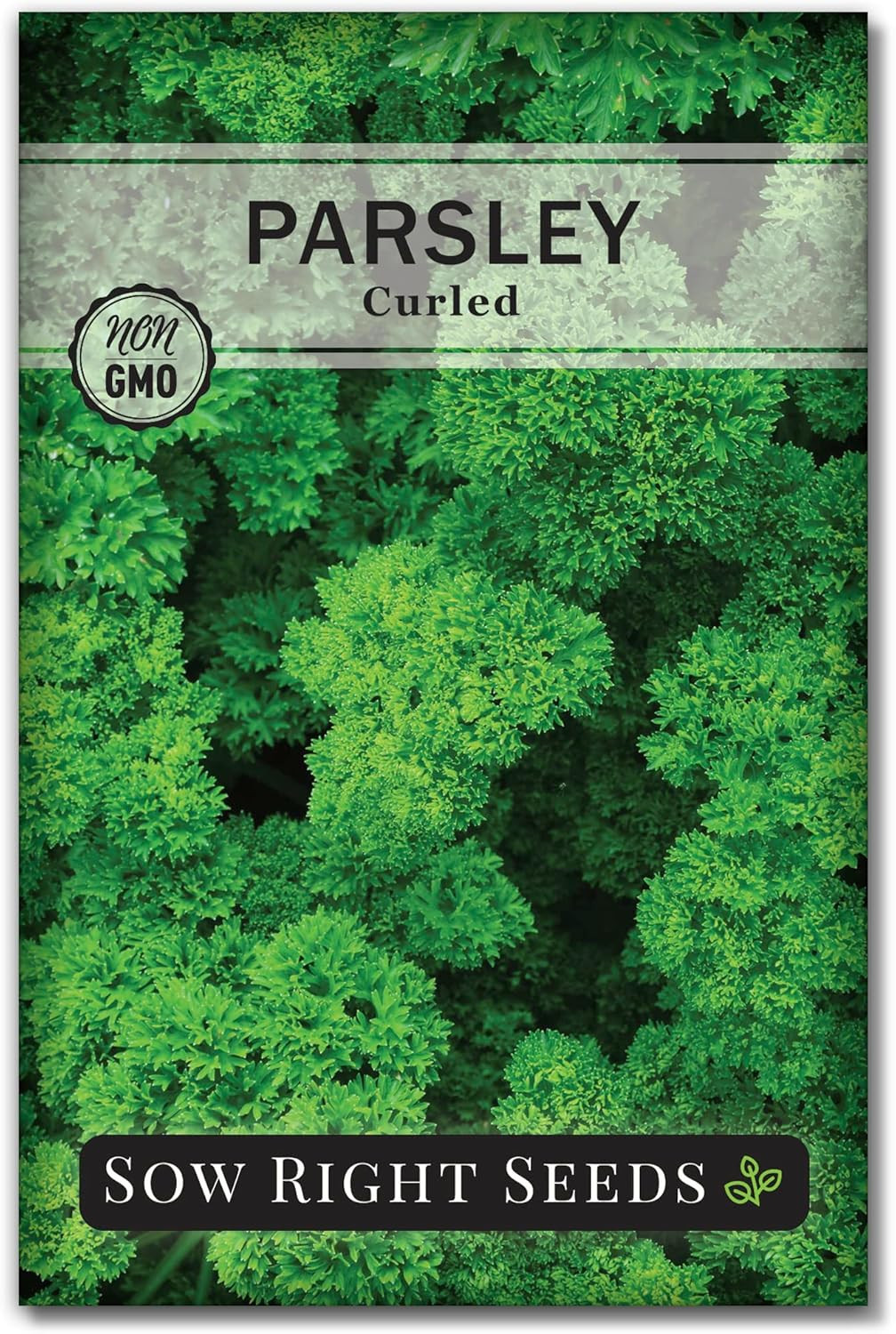 – Flat and Curly Leaf Parsley Seed Collection for Planting – Non-Gmo Heirloom Pa