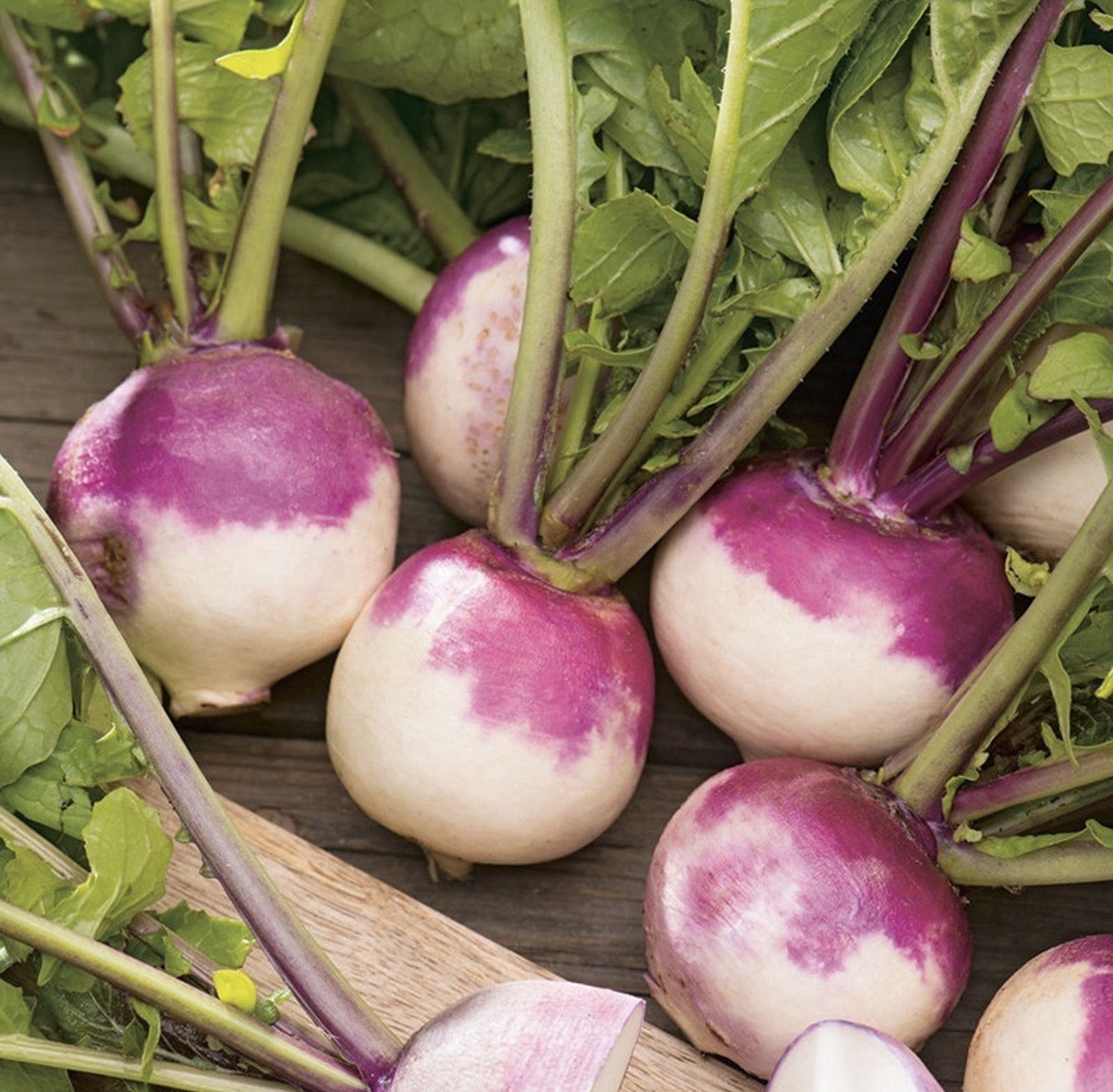 1 LB Purple Top Turnip Seeds – Bulk Brassica Seed For Food Plots, Cover Crops