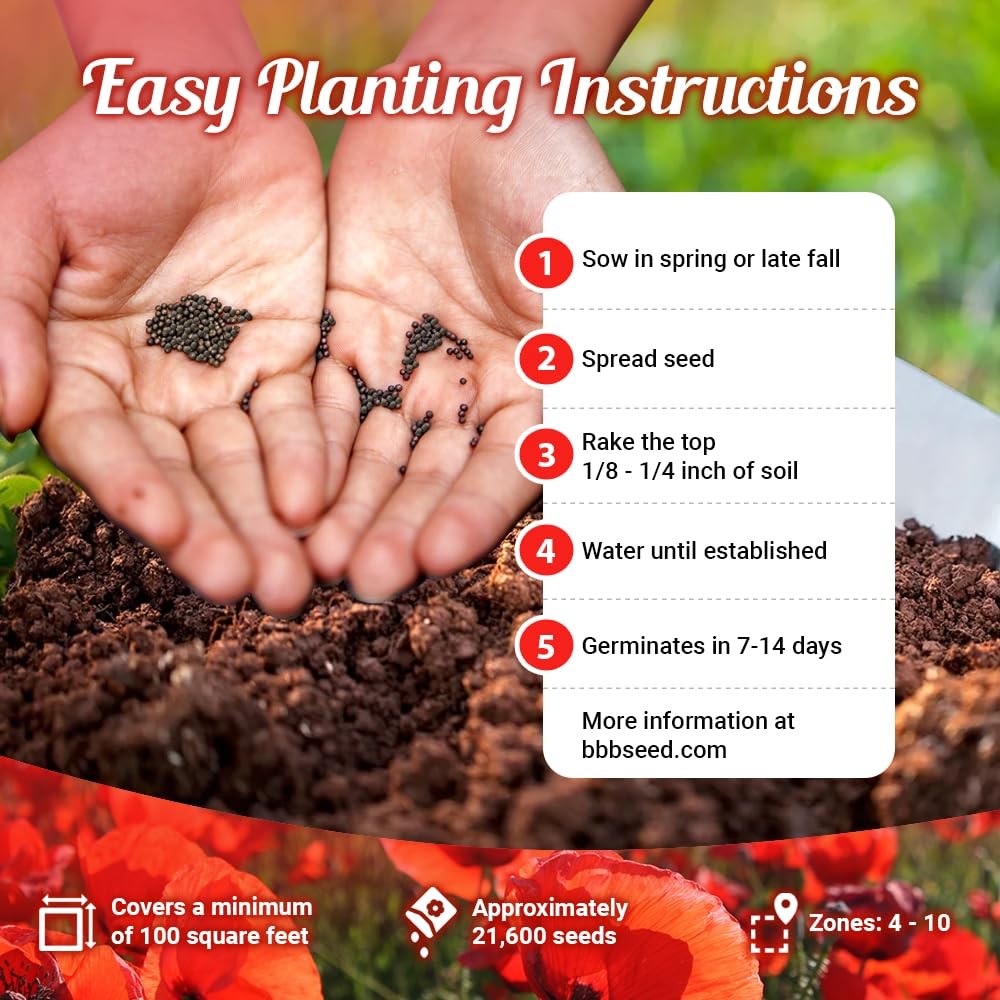 Parade of Poppy Wildflower Seeds – 1oz, Open-Pollinated Flower Orange
