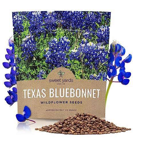 Texas Bluebonnet Wildflower Seeds – Bulk 1/2 Ounce Packet – Over 500 Native S…