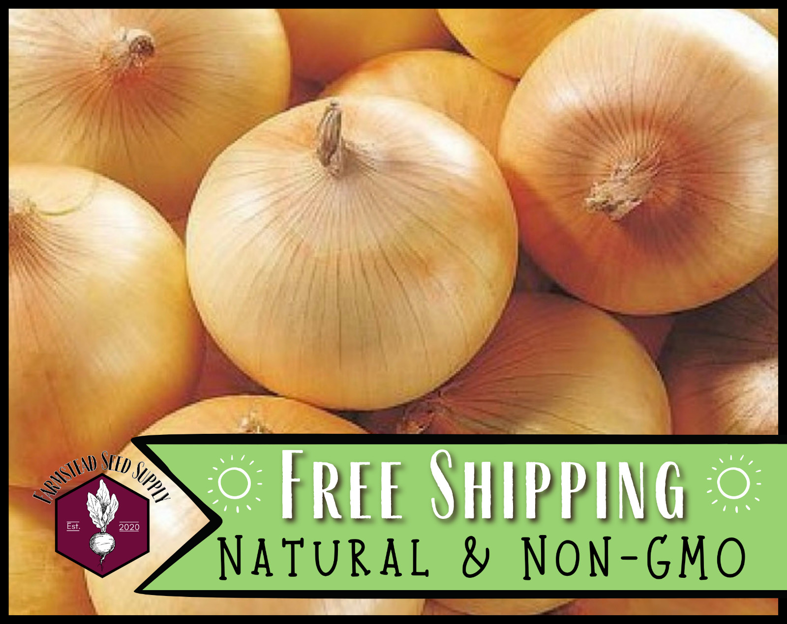 625+ Onion Seeds [Yellow Sweet Spanish] Vegetable Gardening, Heirloom, Non-GMO