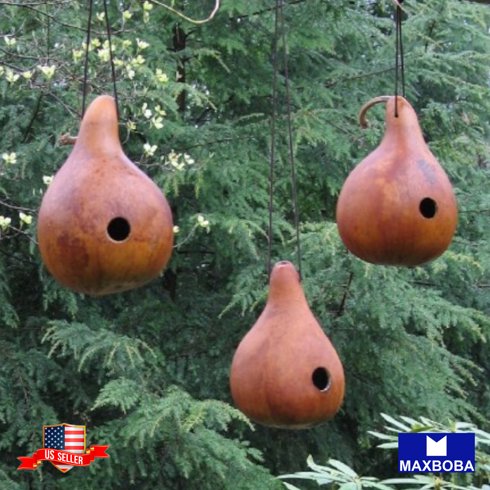 10+ Birdhouse Gourds Seeds Non-GMO Heirloom Vegetable BTGO 75% OFF