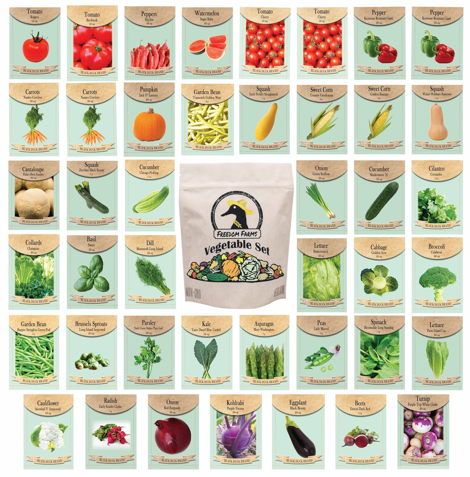 Set of 43 Assorted Vegetable & Herb Seed Packets – Over 10,000 Seeds! – Green
