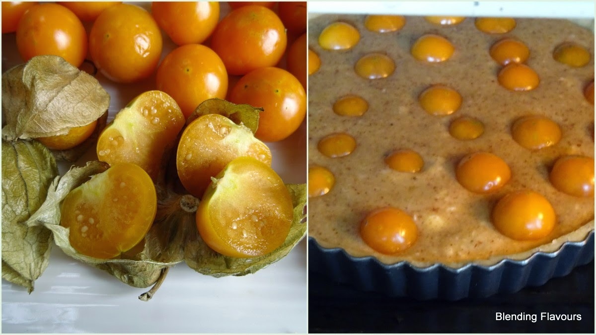 10 Seeds Schönbrunner Gold Ground Cherry ORGANIC Cape gooseberry Husk Tomatillo
