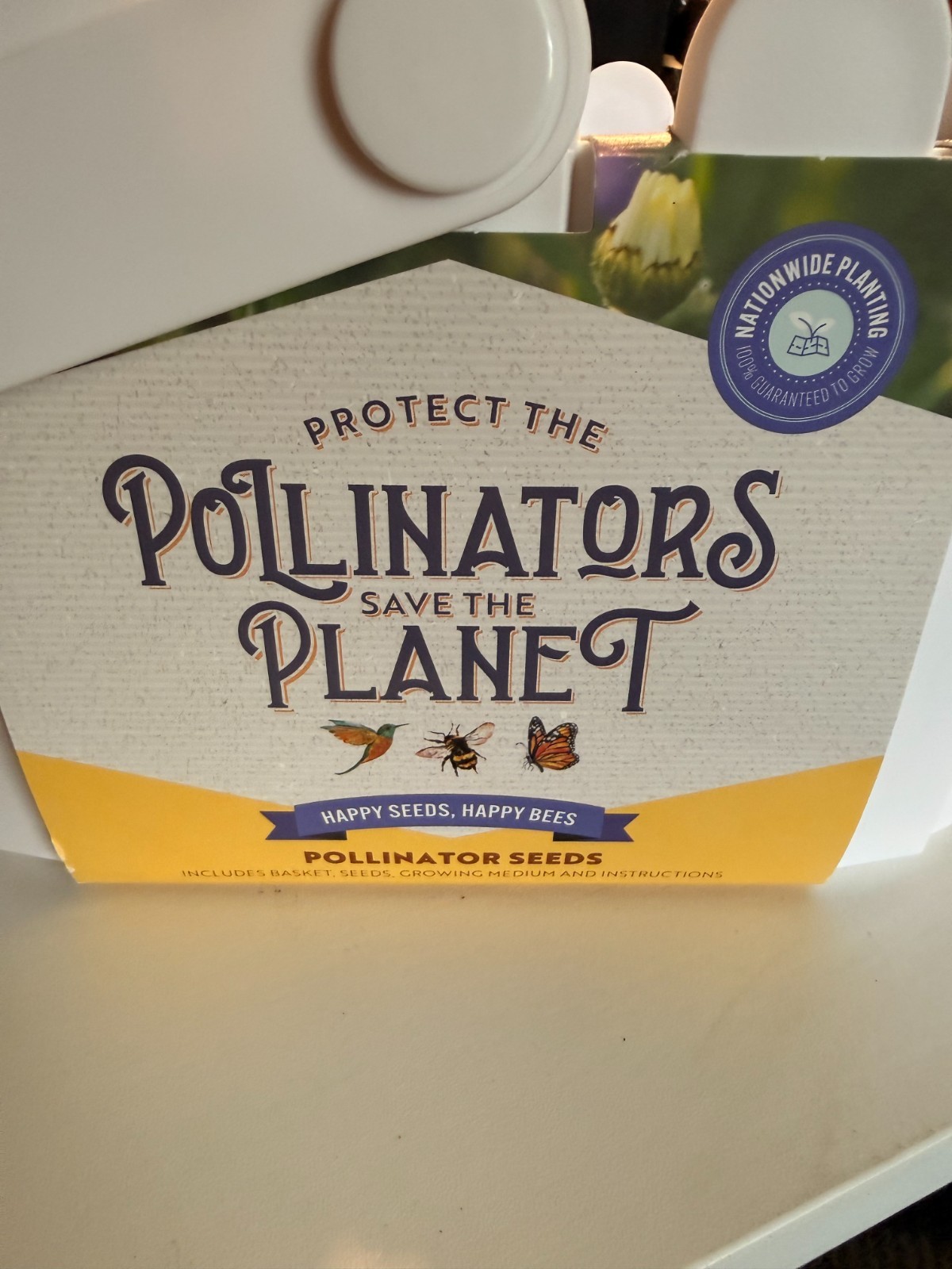 Buzzy Wildflower Pollinator Seed Mix Basket Grow Kit – NEW