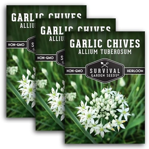 Packs Garlic Chives Seed for Planting – Packet with Instructions to Grow 3