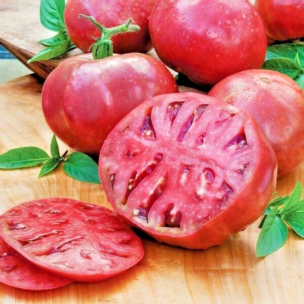 51+CHEROKEE PURPLE TOMATO Seeds Organic Native Heirloom Summer Garden Container