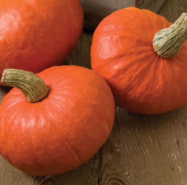 10+ Sunshine Kabocha Squash Seeds | Non-GMO | USA