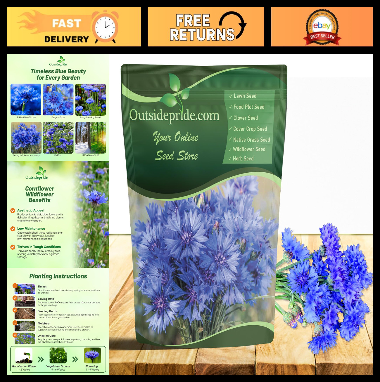Blue Cornflower Seeds – 1 lb Annual Bachelor’s Button for Cut Flower Gardens, Dr