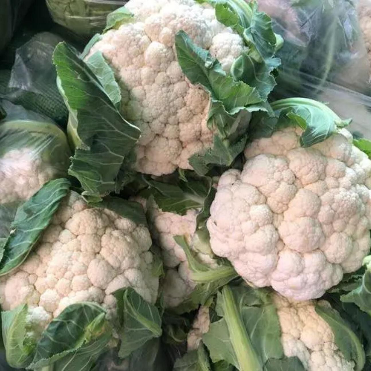 Cauliflower -Atlas Vegflower