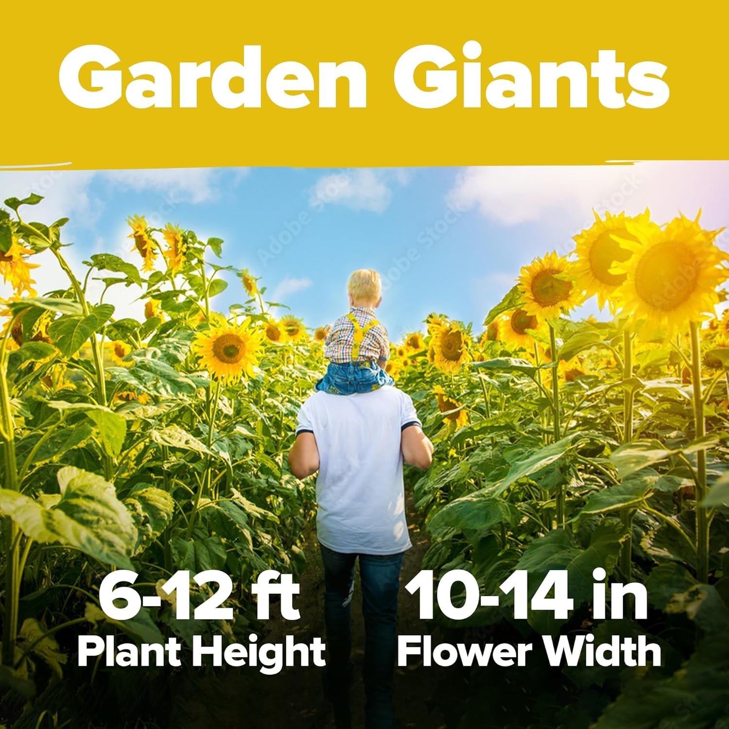 Giant Mammoth Sunflower Seeds – 520+ Heirloom Non-GMO Bulk Pack for Stunning …