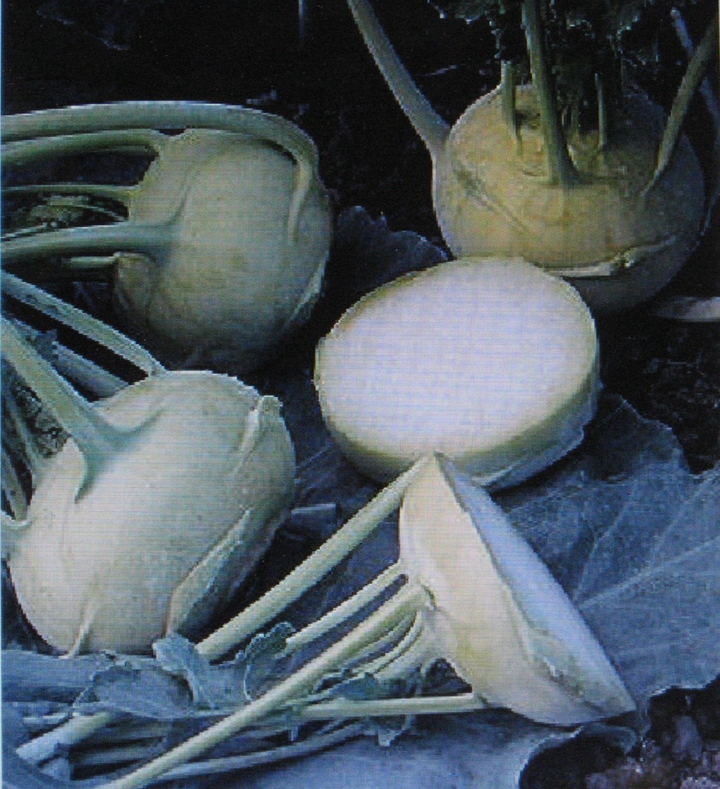KOHLRABI*EARLY WHITE VIENNA*100 SEEDS*TENDER*