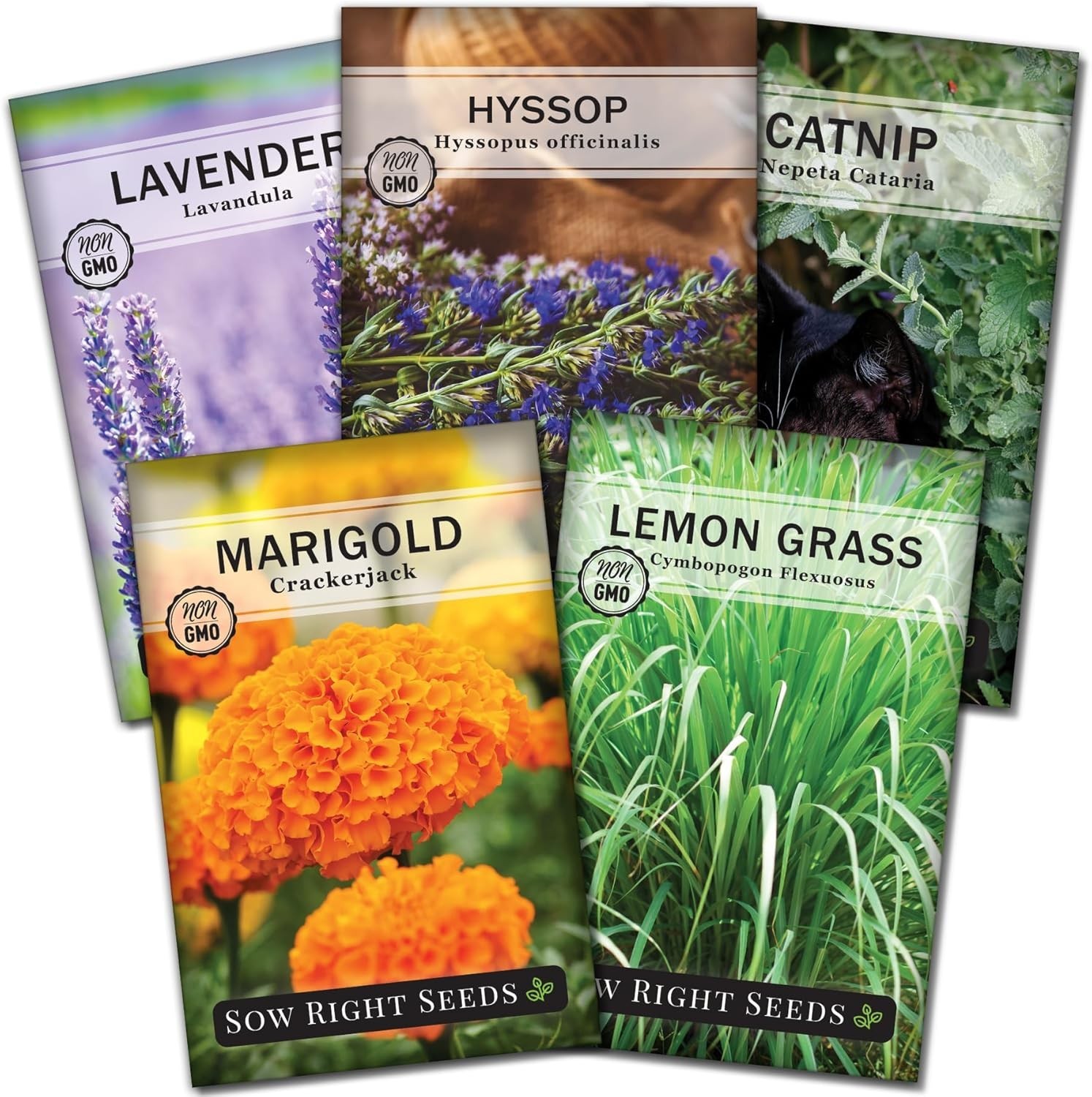 Sow Right Seeds – Insect & Pest Repellent Seed Collection for Planting – Mix