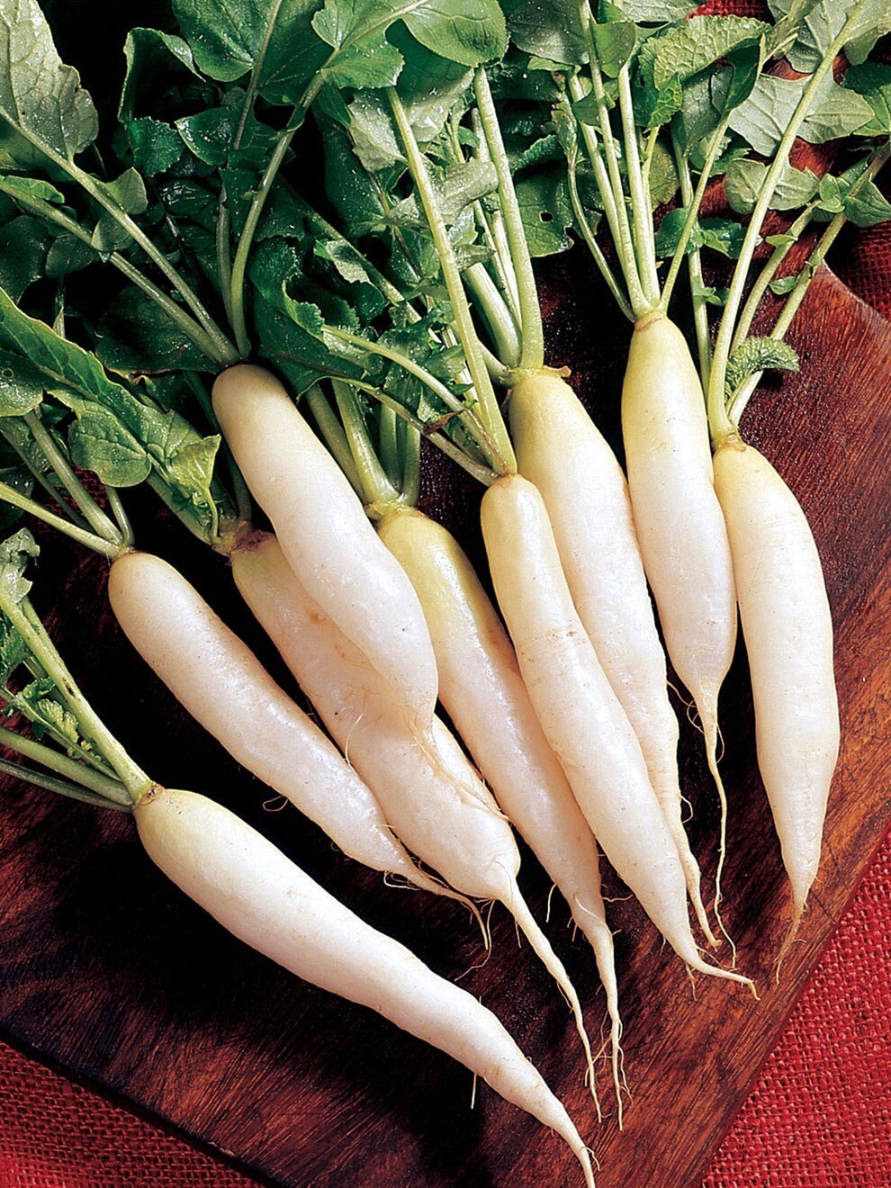 White Icicle Radish, 200+Seeds. Heirloom~Non-GMO~Organic~Free Shipping.