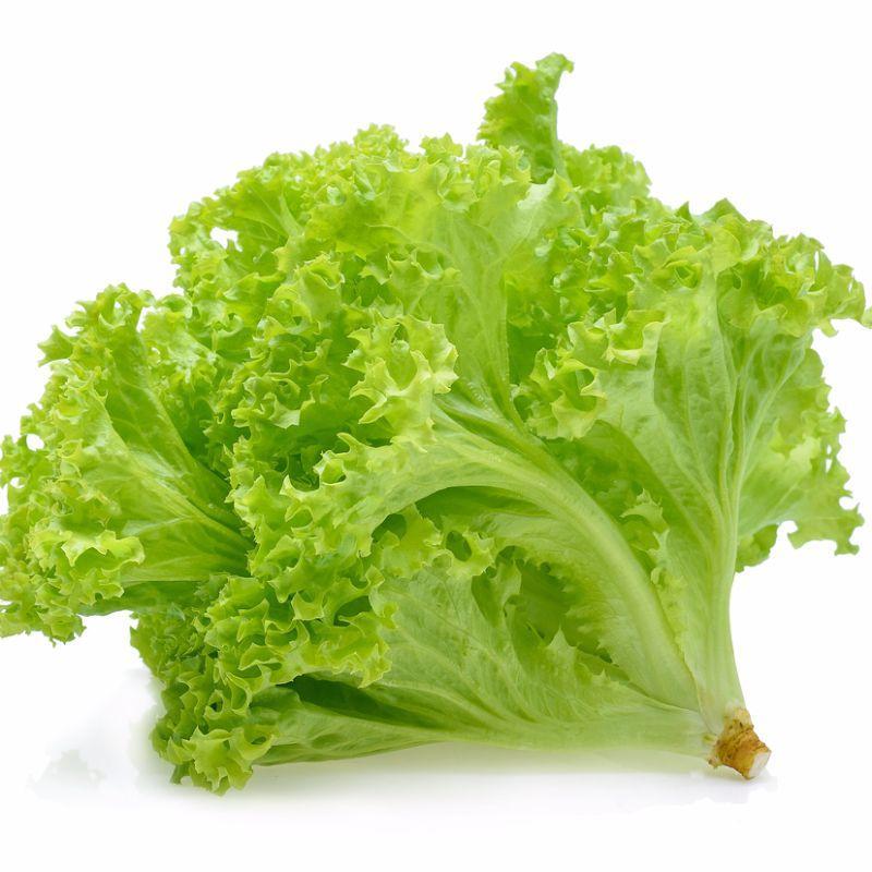 250 SEEDS – Lettuce, Tango for salad greens – GroCo USA* – BUY 15-FREE SHIPPING