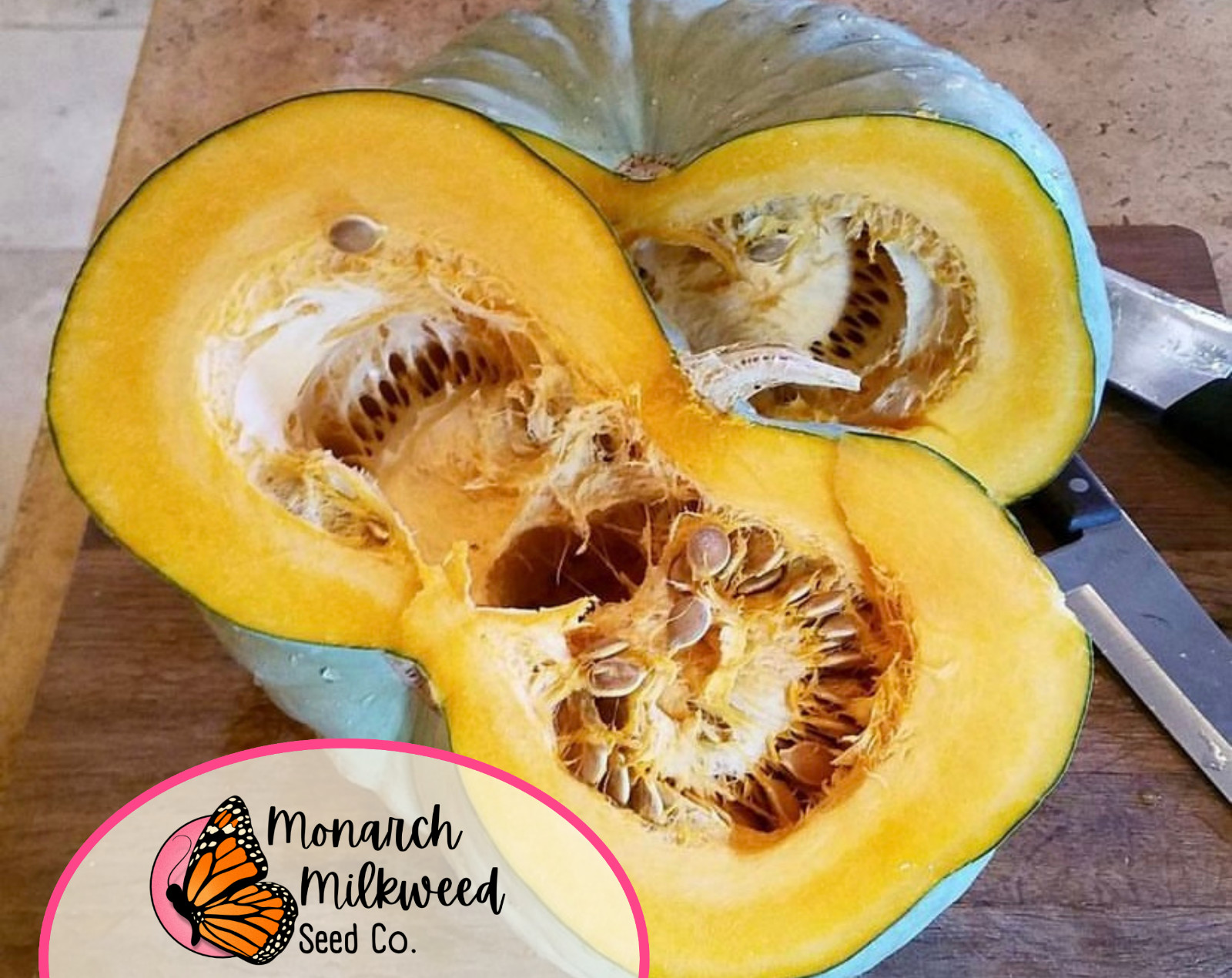 12+ Pumpkin Seeds ‘Jarrahdale’ | RARE Heirloom, Non-GMO, Vegetable Garden, USA