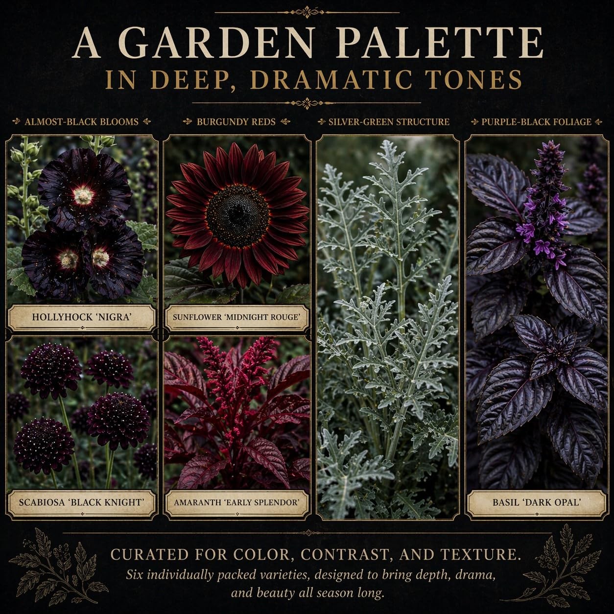 Gothic Garden Seed Collection 6 OpenPollinated Flower & Foliage Varieties