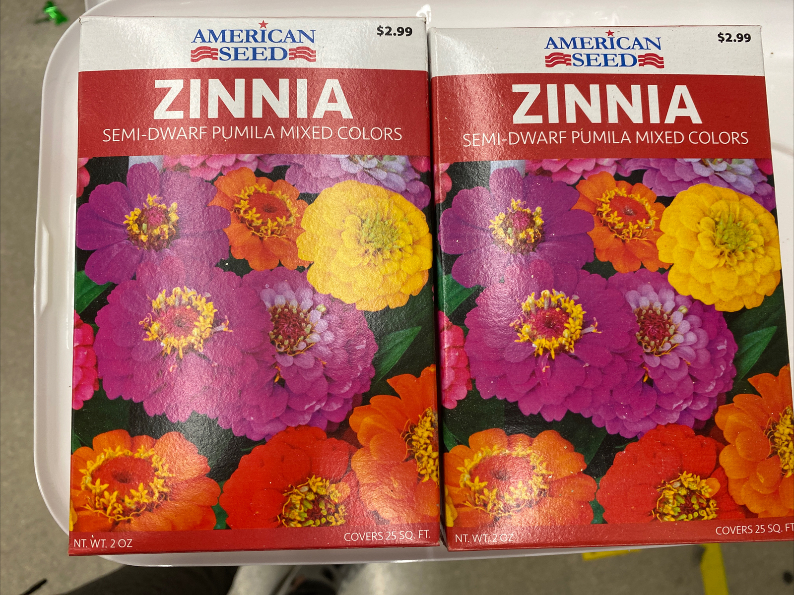 2X ZINNIA SEMI DWARF MIXED COLORS , EACH BOX COVERS 25 SQ FT, TOTAL OF 50 SQ F