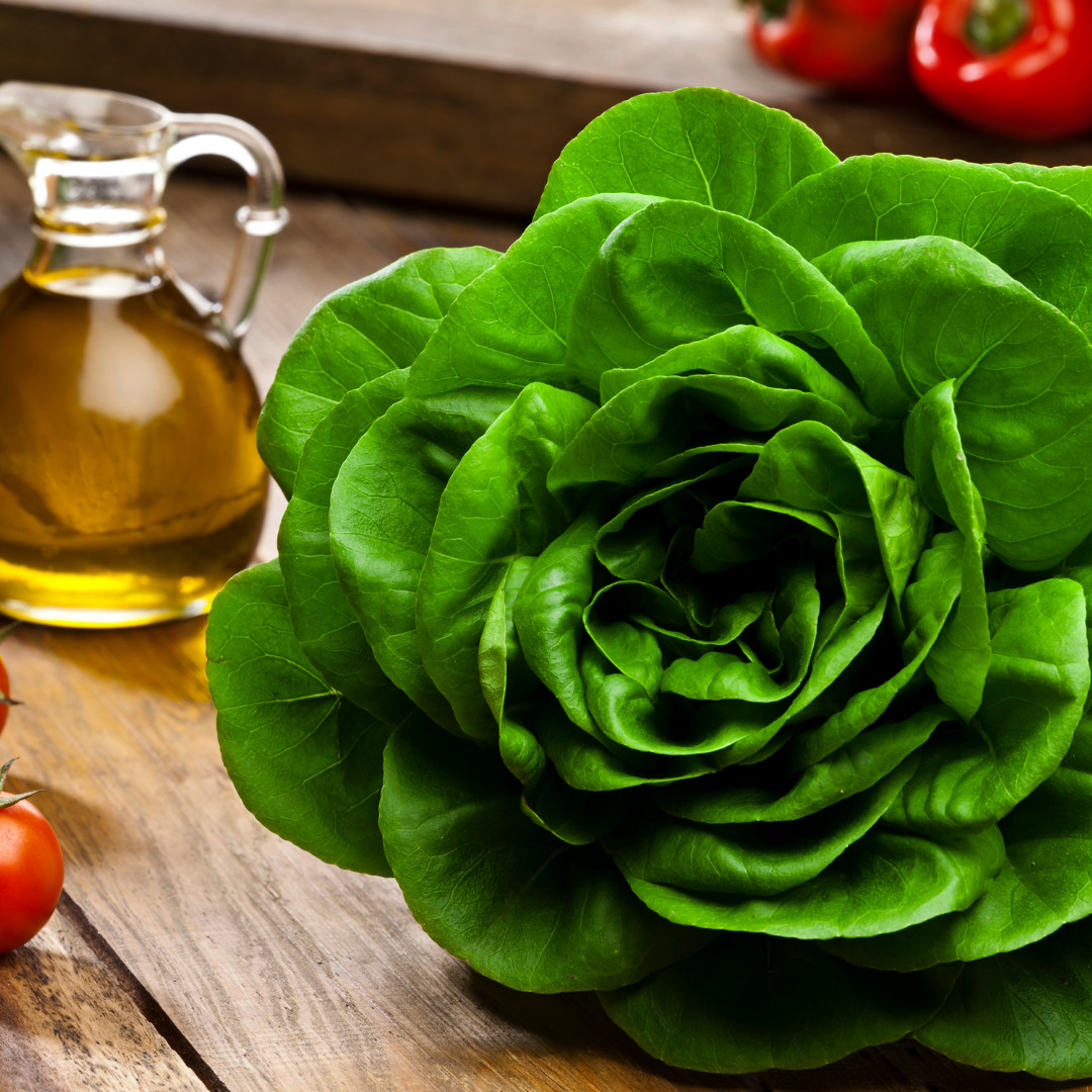 Fresh Crisp Bibb Butterhead Lettuce Seeds | Heirloom Non-GMO | Vegetable Seeds