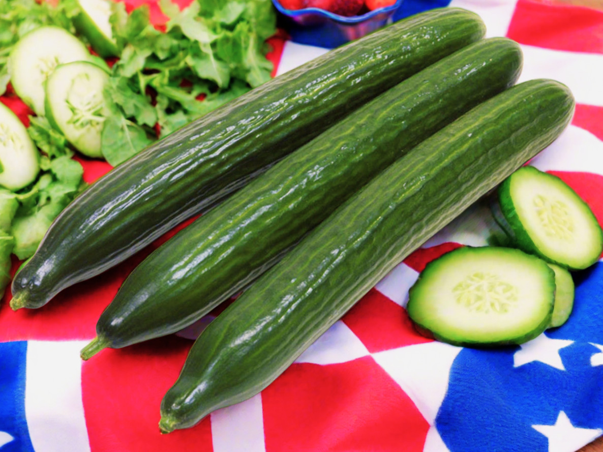 English Telegraph Burpless Cucumber Seeds | Heirloom Crisp Cucumbers Seed 2025
