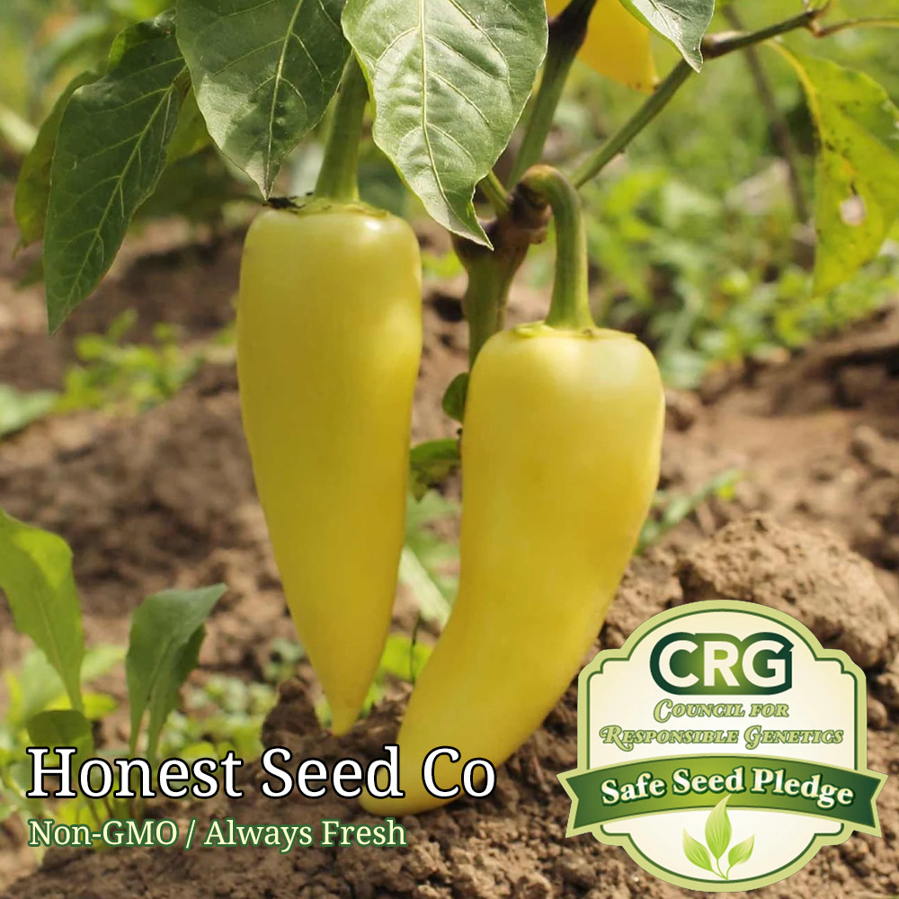 Hungarian Wax Pepper Seeds | Non-GMO | Fresh Garden Seeds USA