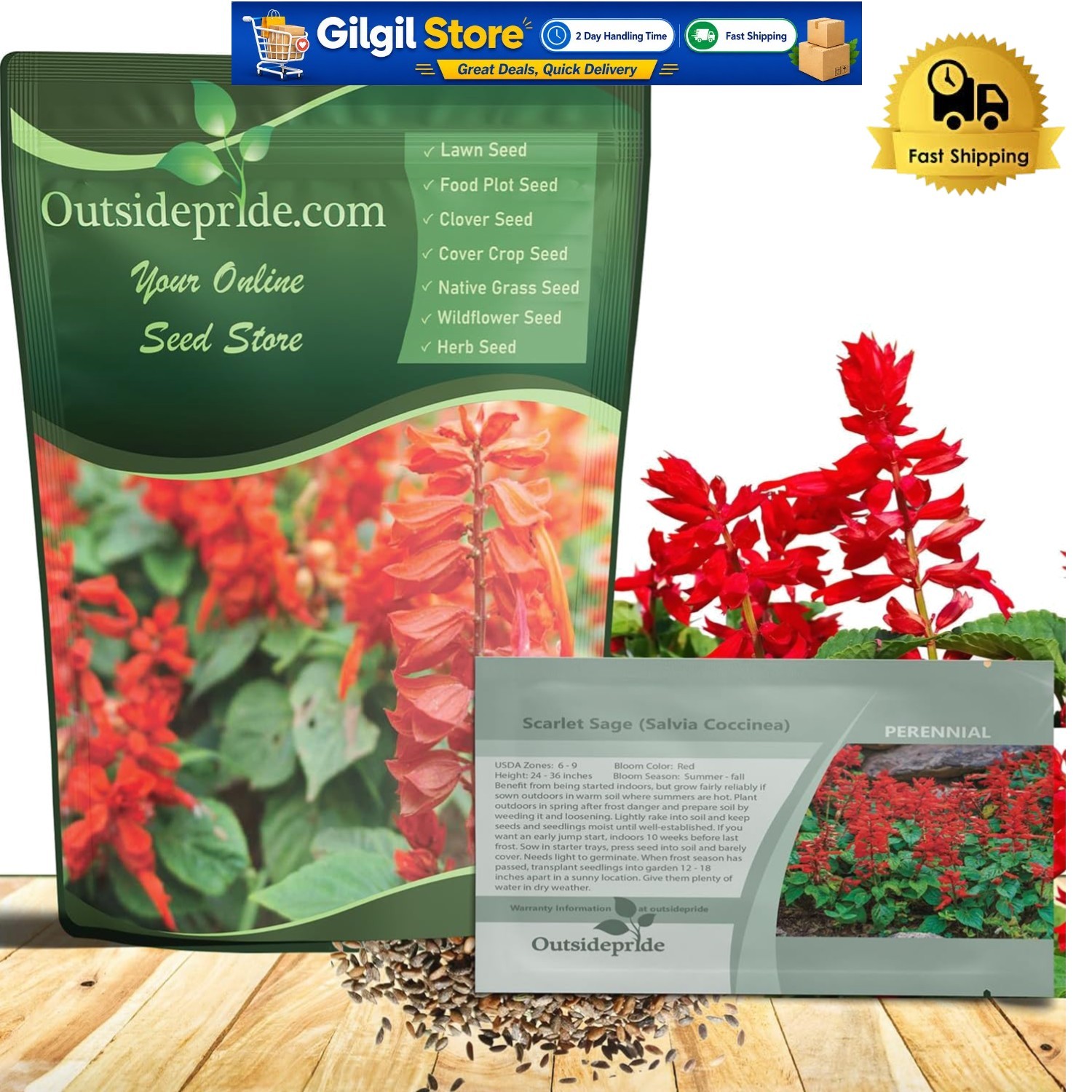 1/4 Lb. Scarlet Sage Seeds – Beautiful Red Blooms for Hummingbirds & Butterflies