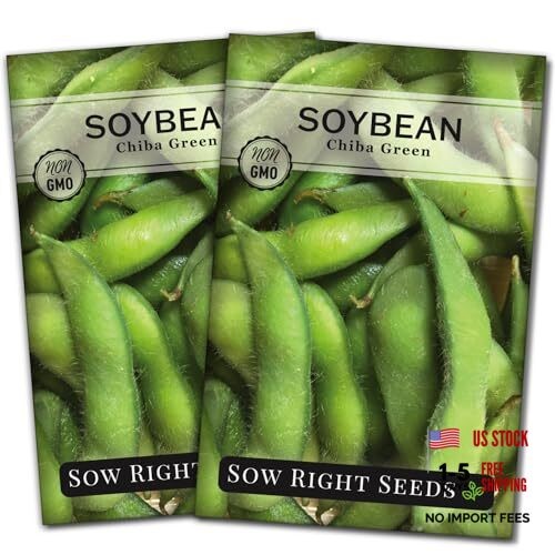 – Chiba Green Soybean Seeds for Planting – Non-GMO Heirloom Packet with 2