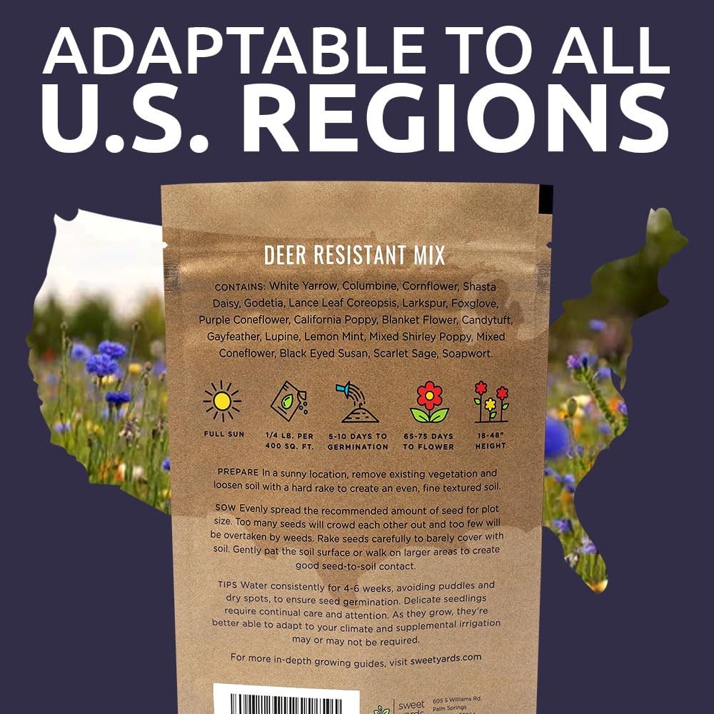 Deer Resistant Wildflower Seed Mixture – Bulk 1/4 Pound Bag – Over 60,000 Dee…