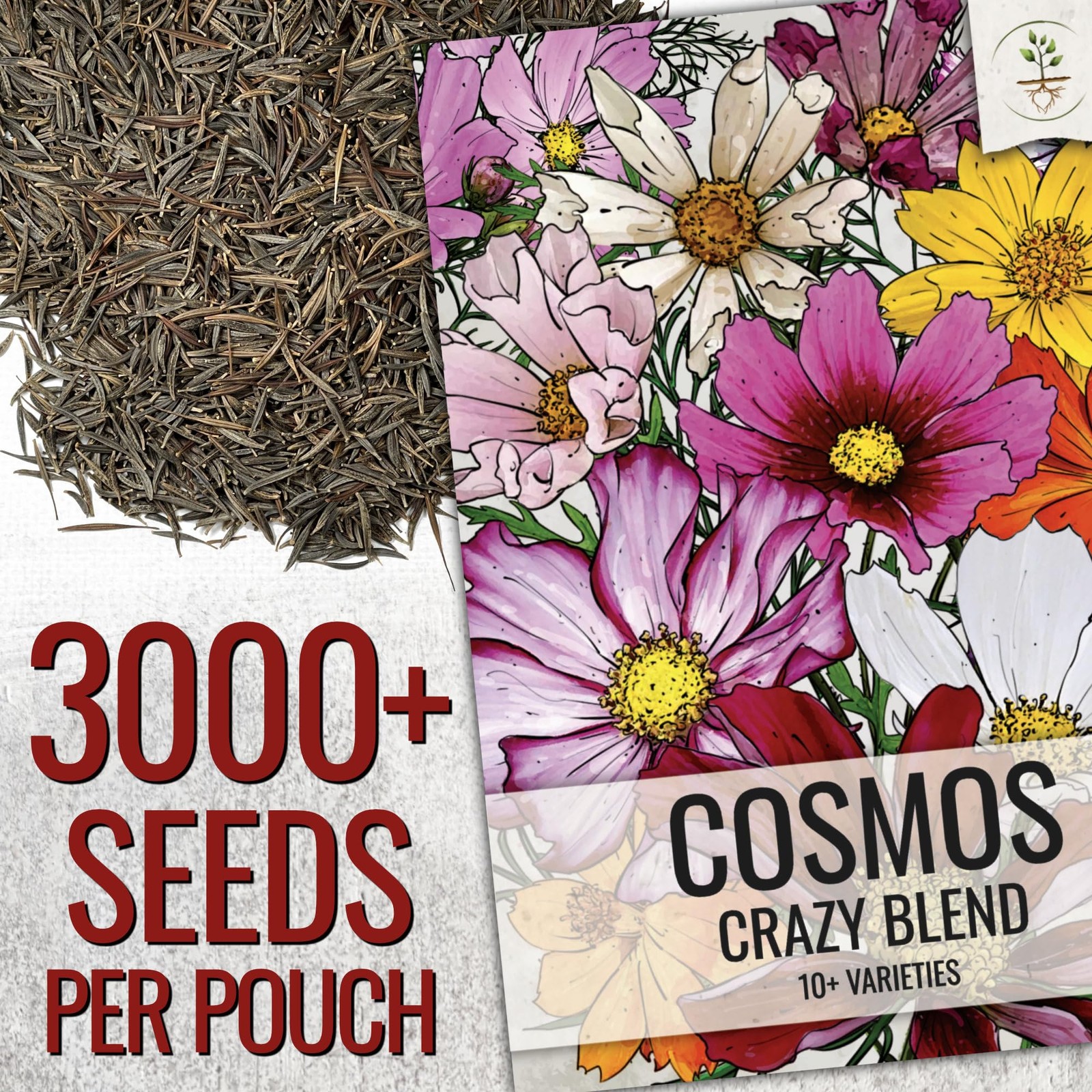 Flower Seeds Cosmos Crazy Blend No Filler 10+ Varieties Cosmos | Cosmo Bipinn…
