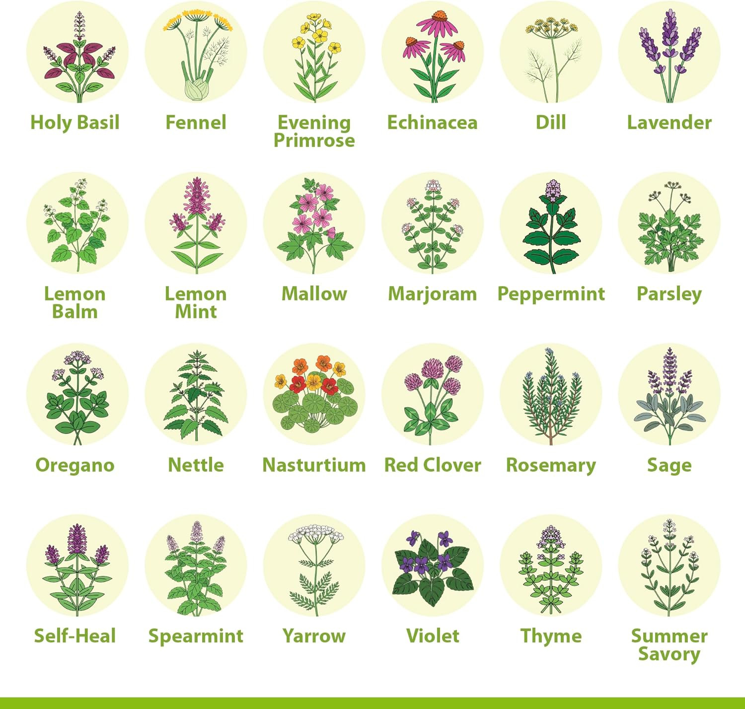 Medicinal Herb Seeds Variety Pack � 39 Heirloom Non-Gmo Apothecary Seed Kit, Her