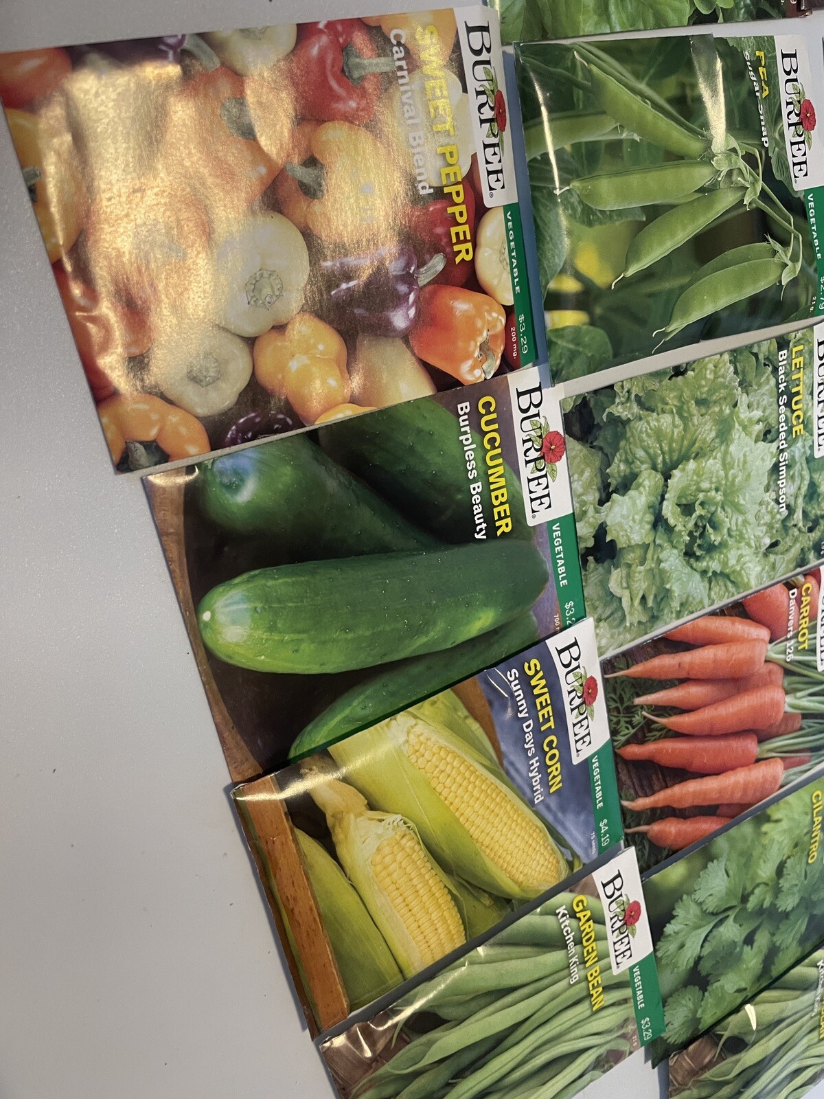 Garden Seeds Lot of 22 Packs of Burpee Vegetable & Herbs Dated 2021