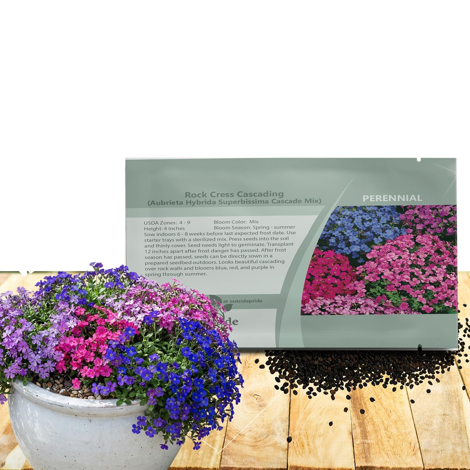 Cascade Mix Aubrieta Rock Cress Seeds – 2000 Pcs Perennial Flower Seeds, Easy…