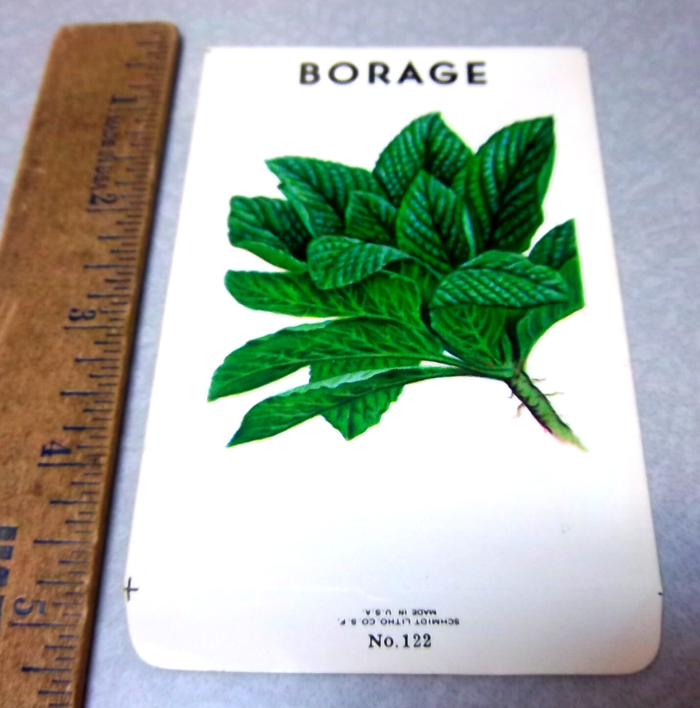 Vintage EMPTY seed pack, BORAGE, Schmidt Litho co no 122, Great artwork, NOS
