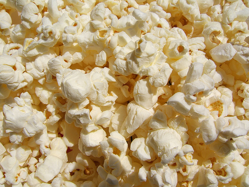 Popcorn Seed: Japanese Hull-less popcorn Fresh Seed FREE Shipping