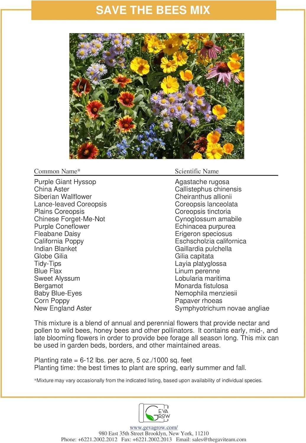 Save the Bees Wildflower Mix 1LB Tub – 300,000+ Seeds for Bee-Friendly Gardens