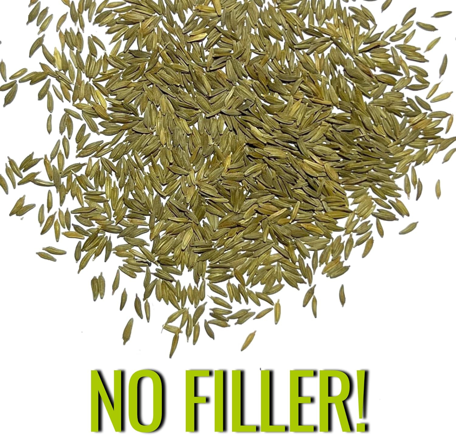 30,000+ Common Dandelion Herb Seeds for Planting – Non-Gmo, Heirloom & Untrea…