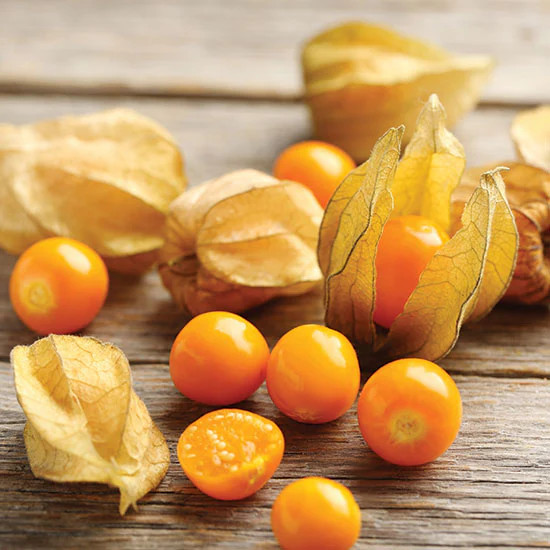 Strawberry Ground Cherry Seeds | Physalis Pruinosa Gooseberry Golden Berry 2024