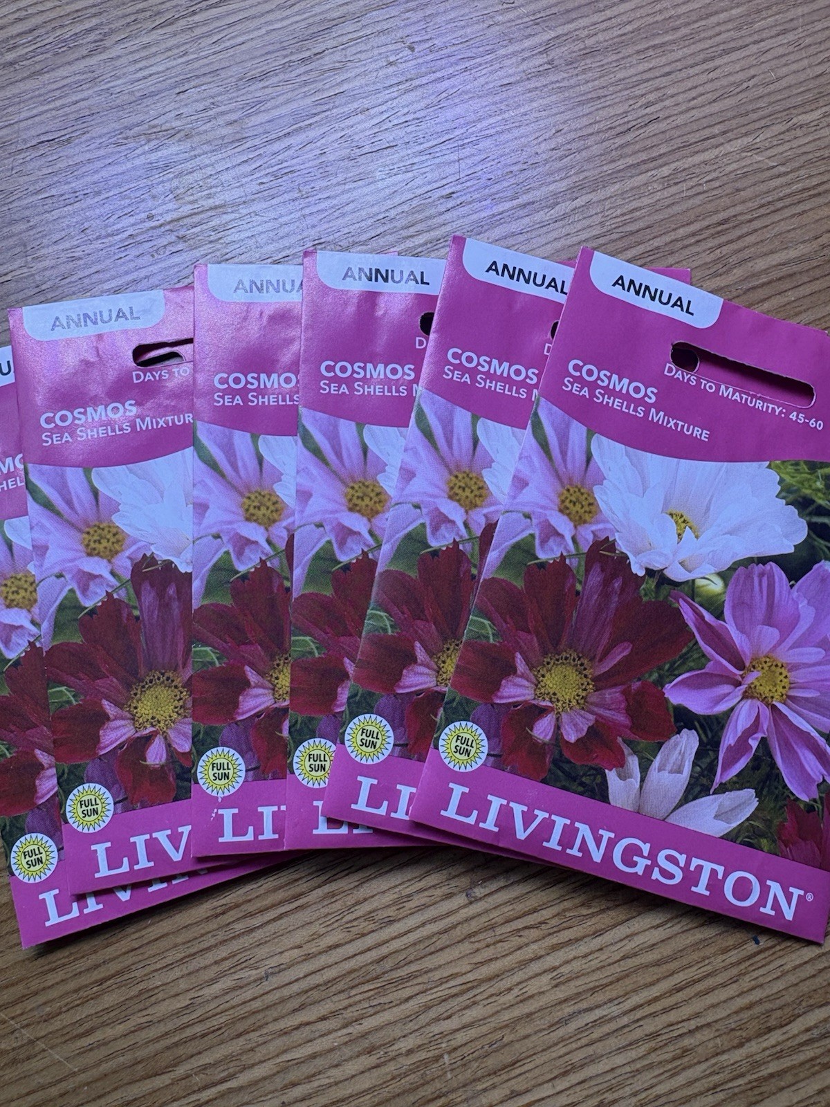 6PACK BUNDLE Livingston Seed Company Cosmos Sea Shell Mixture Bee Friendly Seeds