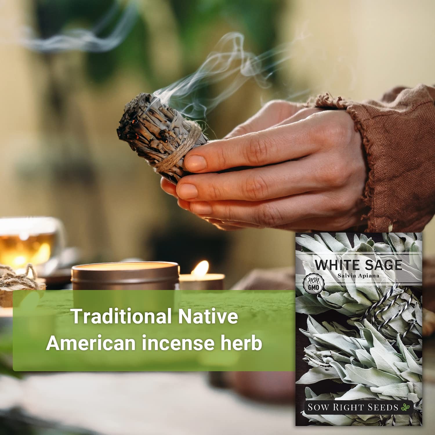 White Sage Seeds for Planting – Non-GMO Heirloom – Indoor/Outdoor Herb Garden