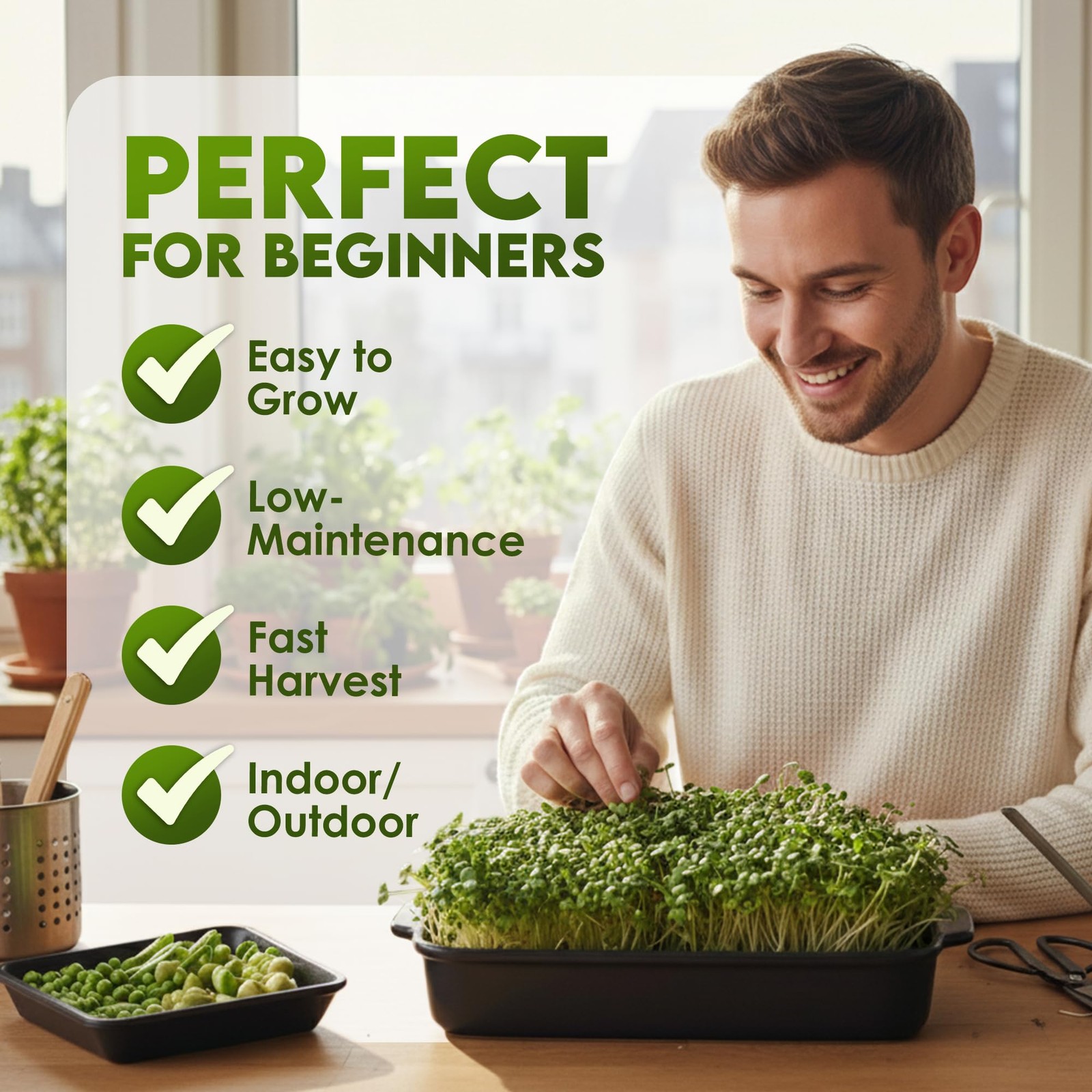 Organic Broccoli Sprouting Seeds FastGrowing Nutritious Gardening Greens 8oz