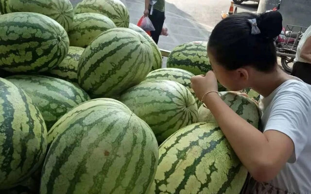 Giant Red Watermelon Seeds