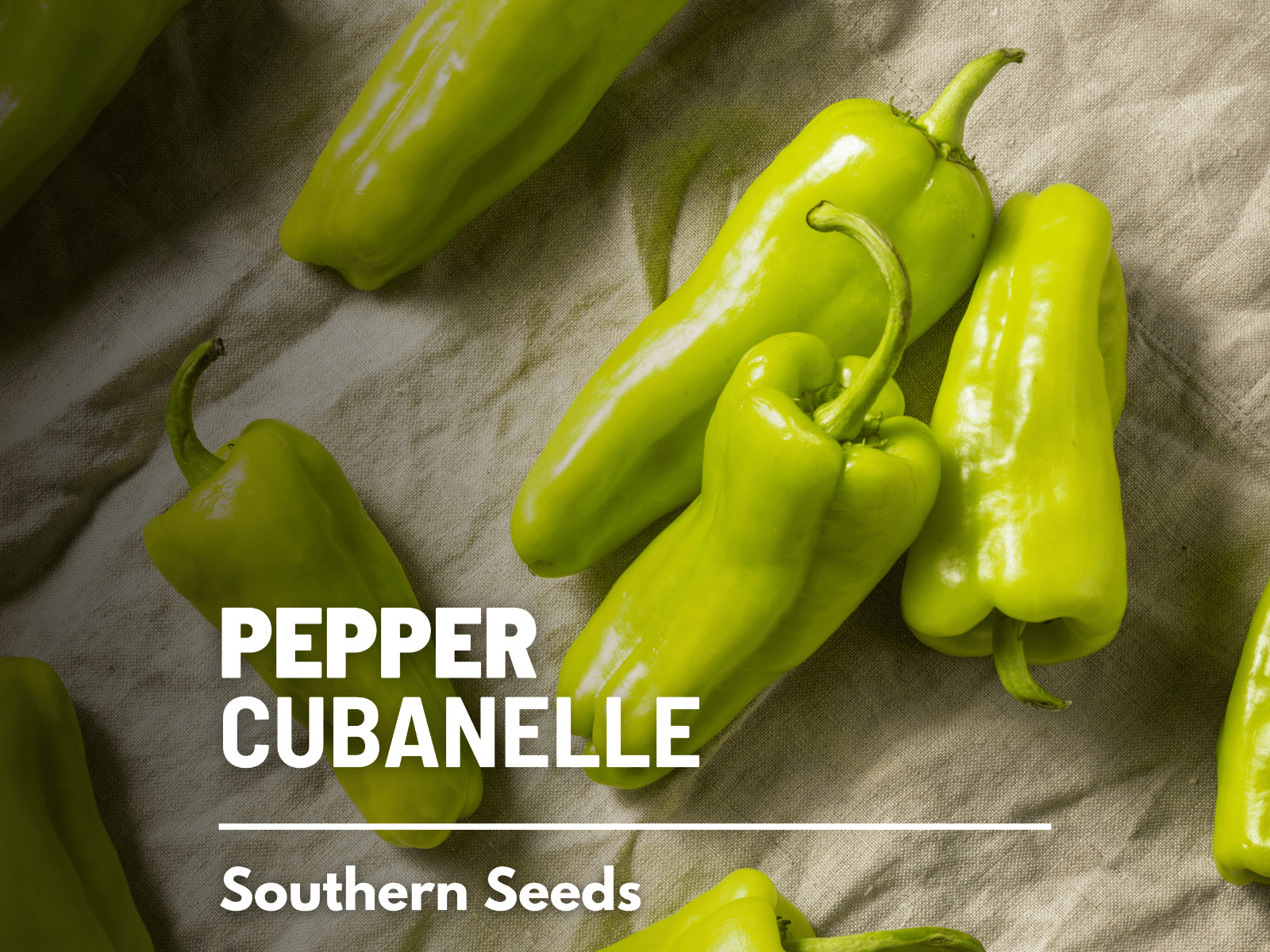 Pepper, Cubanelle Sweet seeds – Heirloom Vegetable (Capsicum annuum) – Mild and