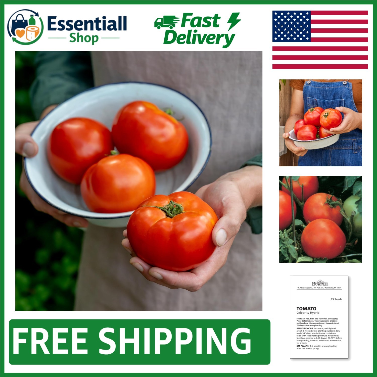 Celebrity Hybrid Non-GMO Tomato Seeds – 35 Slicer Seeds for Summer