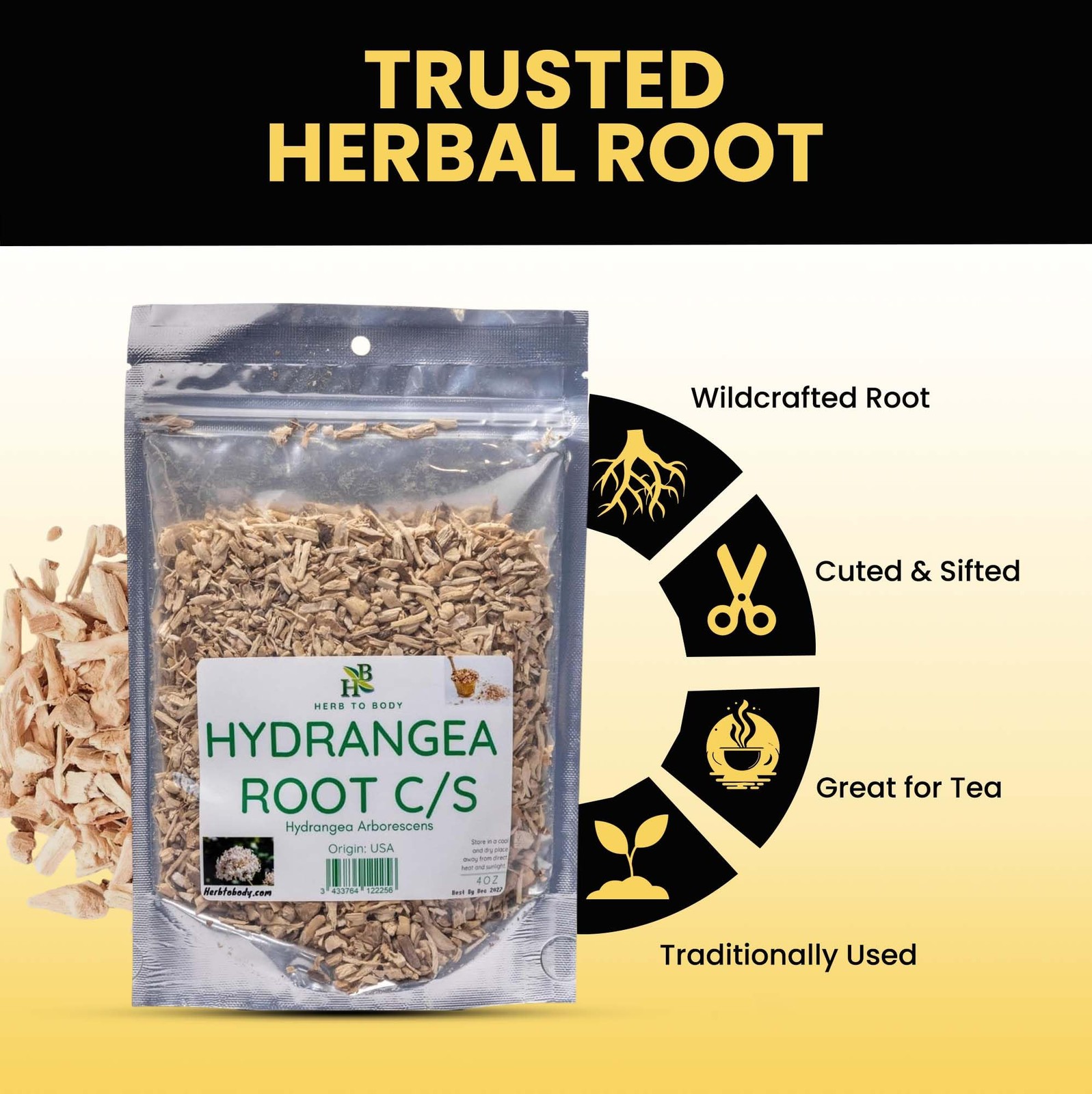 Wildcrafted Hydrangea Root Cut & Sifted 4 oz for Herbal Tea & Wellness