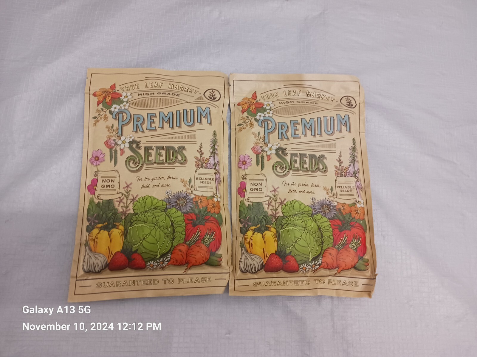 Wheat Sprouting Hard Red Heirloom Seeds True Leaf 2 Bags Total 2LBS Test 2021