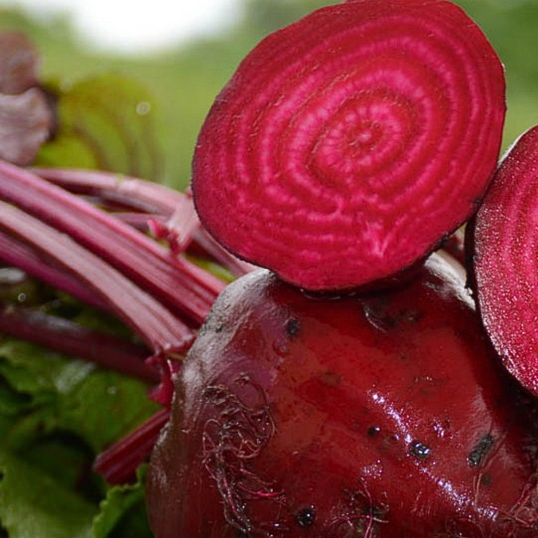 Fresh Detroit Dark Red Beet Seeds | Heirloom Non-GMO | Fresh Vegetable Seeds