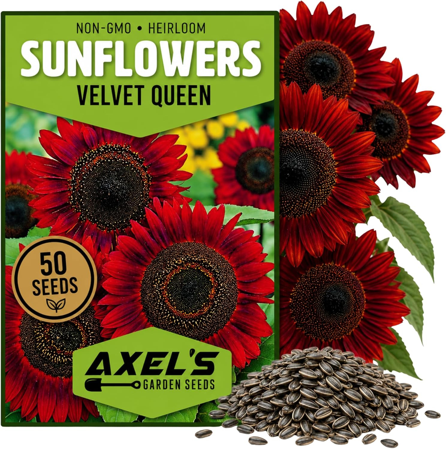 Red Sunflower Seeds for Planting – 50 Heirloom Non GMO Velvet Queen Flower Seeds