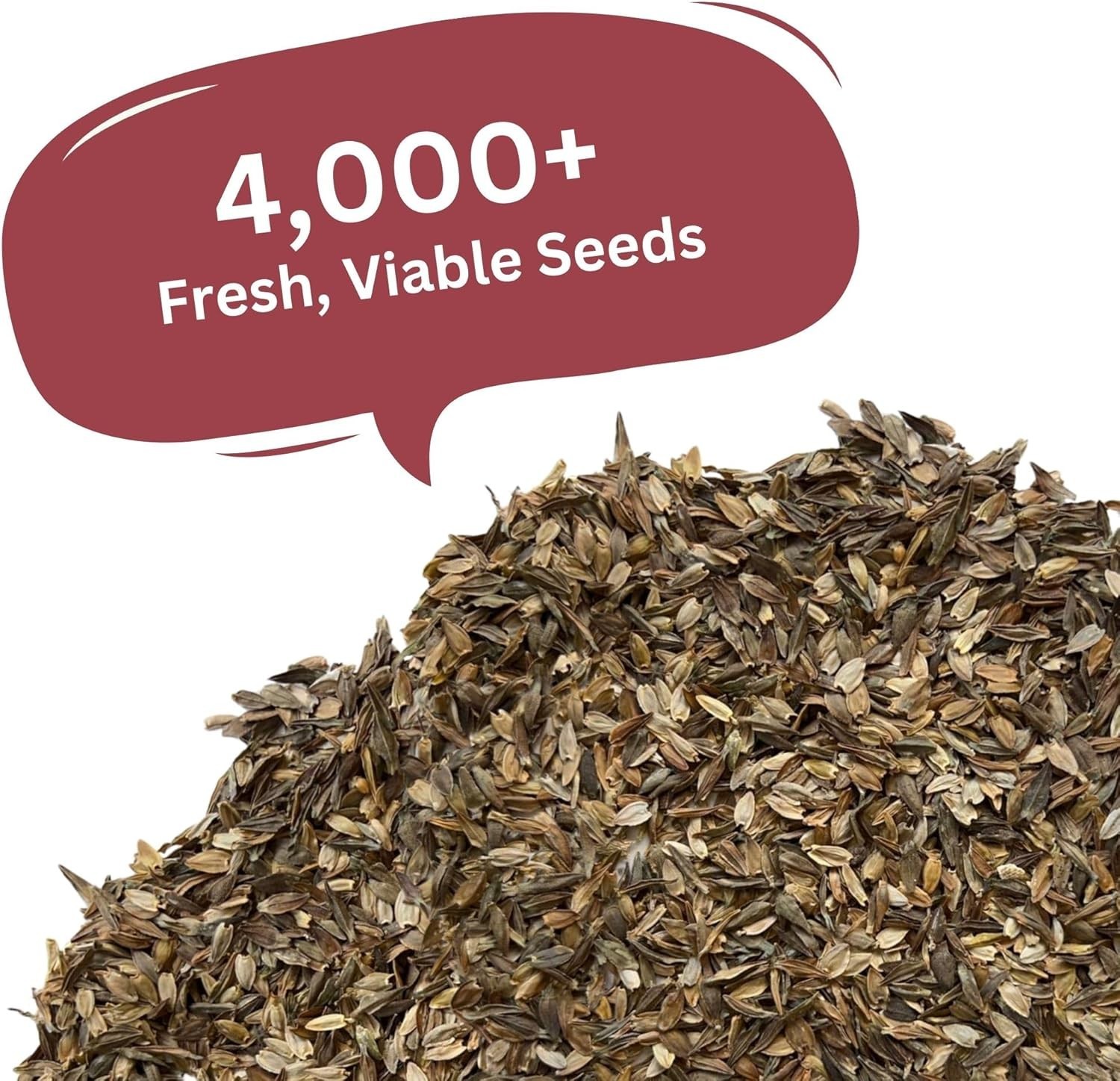 California Giants Zinnia Mix – 4,000+ Seeds – 1 oz Bulk Extra Large Resealabl…